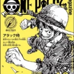 ONE PIECE magazine vol.21 Promo Monkey D. Luffy {ST29-001} Japanese ONE PIECE CARD
